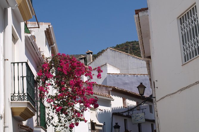 Authentic Andalusia - Jeep Eco Tour (Pick up From Marbella - Estepona) - Practical Information and Booking