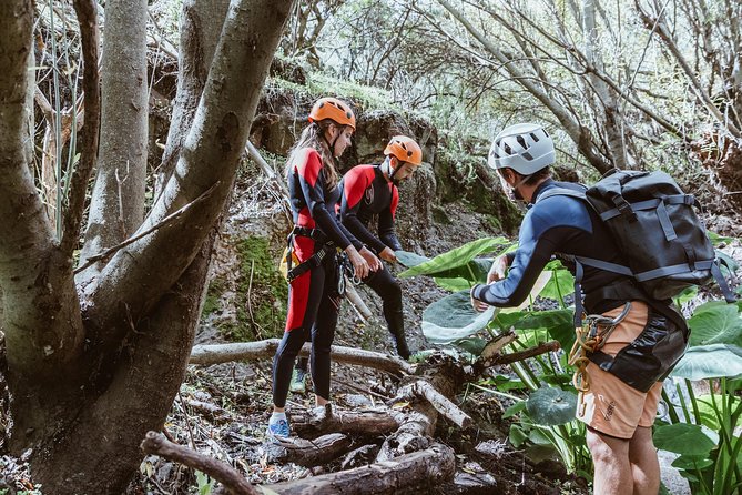 Canyoning With Waterfalls in the Rainforest - Small Groups ツ - Booking and Confirmation