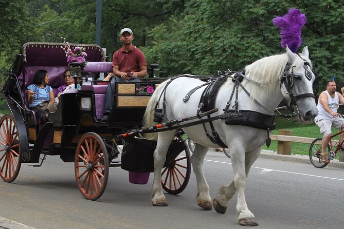 Central Park and NYC Horse Carriage Ride OFFICIAL ( ELITE Private) Since 1970™ - Customer Reviews and Testimonials