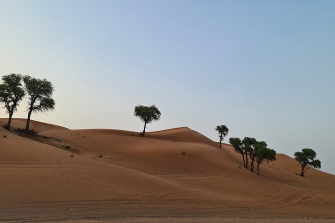 Dubai Desert 4x4 Dune Bashing, Self-Ride 30min ATV Quad, Camel Ride,Shows,Dinner - Customer Reviews and Ratings