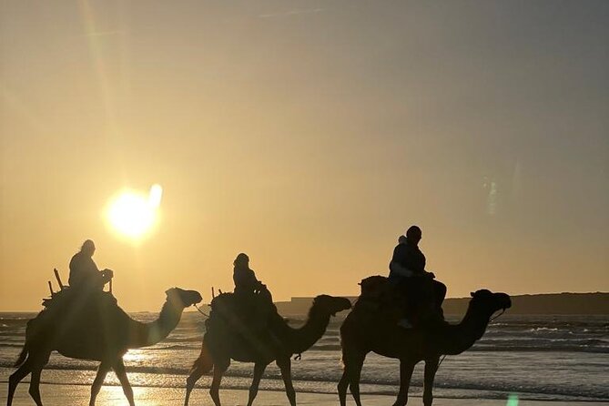 Essaouira Private Camel Ride (1 Hour). - What to Expect