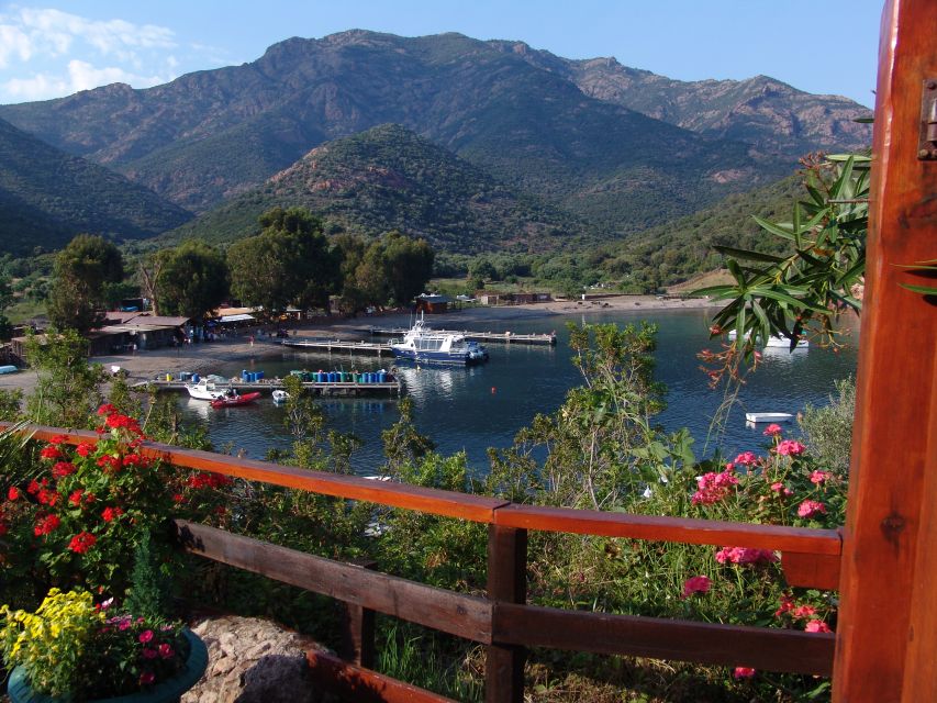 From Cargèse: Scandola Day Tour & Girolata Lunch Stop - Observe Flora and Fauna