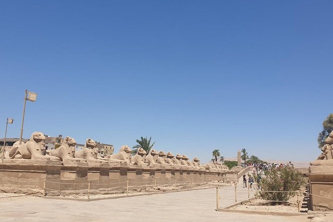 From Hurghada Individual Excursion to Luxor & the Valley of the Kings - Cancellation Policy