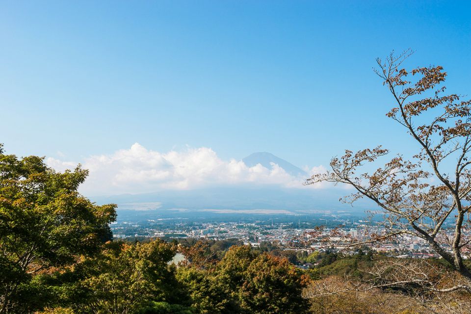 From Tokyo: Mt. Fuji Full-Day Sightseeing Trip - Return Transfer