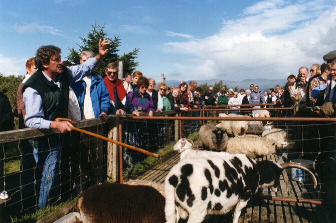 Full-Day Ring of Kerry Tour From Killarney - Discover the Famous Ring of Kerry