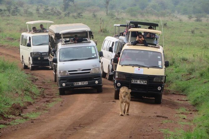 Half-Day Nairobi National Park Safari From Nairobi With Free Pickup - Transportation and Accessibility