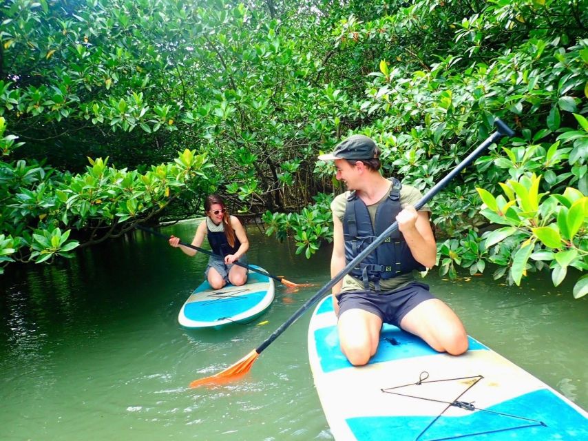 Ishigaki Island: SUP/Kayaking and Snorkeling at Blue Cave - Meeting Point and Logistics