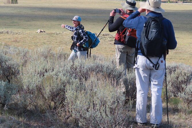 Lamar Valley Safari Hiking Tour With Lunch - Yellowstone Hiking Guides