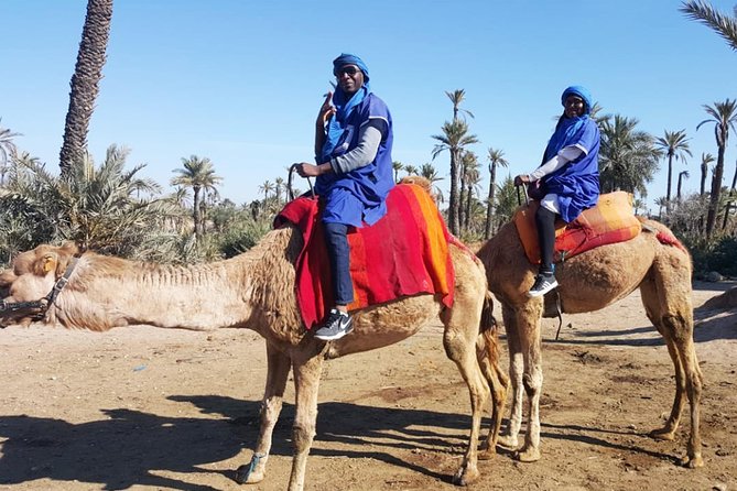 Marrakech Camel Ride & Quad Bike Experience in the Oasis Palmeraie - Tour Group Size and Capacity