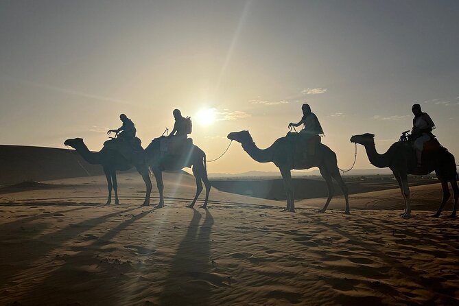 Marrakech to Fez 3-Day Tour Through the Merzouga Desert - Taking in the Merzouga Desert