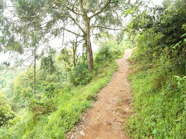 Materuni Waterfalls & Coffee Tour From Moshi - Accessibility and Fitness