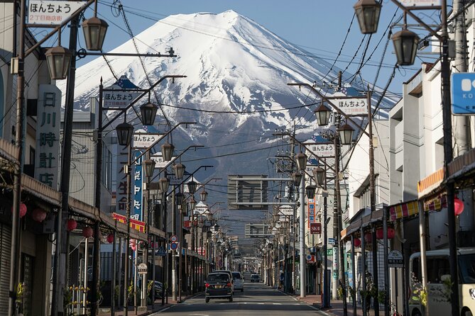 Mount Fuji Private Trip From Tokyo by Car/Van - in English - Traveler Reviews