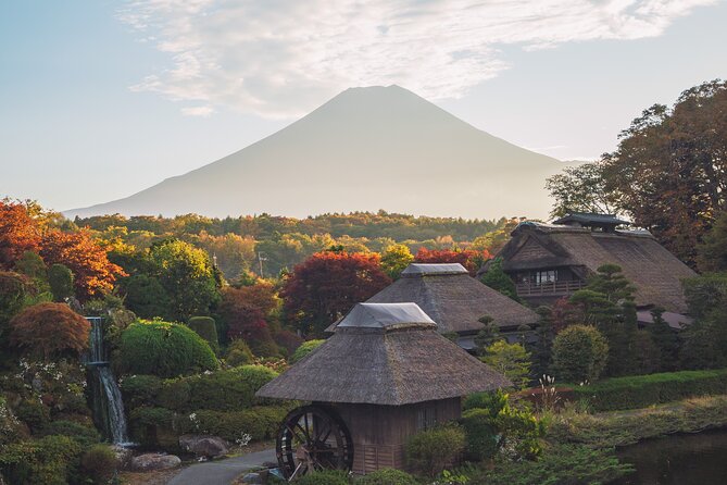 Mt Fuji :1-Day Private Tour With English-Speaking Driver - Tour Participation Details