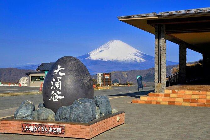 Mt Fuji and Hakone 1-Day Bus Tour Return by Bus - Inclusions and Optional Extras