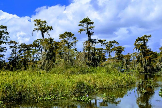 New Orleans Large Airboat Swamp Tour - Important Considerations