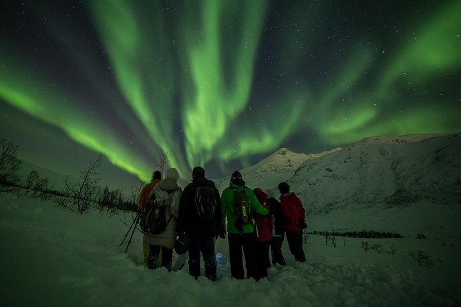 Northern Lights Tour From Tromsø - Accessibility and Medical Conditions