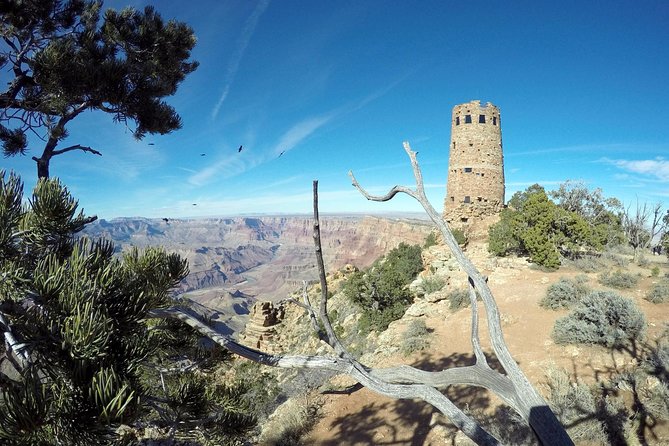 Private Grand Canyon Hike and Sightseeing Tour - Reviews and Pricing