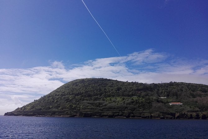 Private Terceira Island Full Day Tour - Discover Algar Do Carvão and Gruta Do Natal