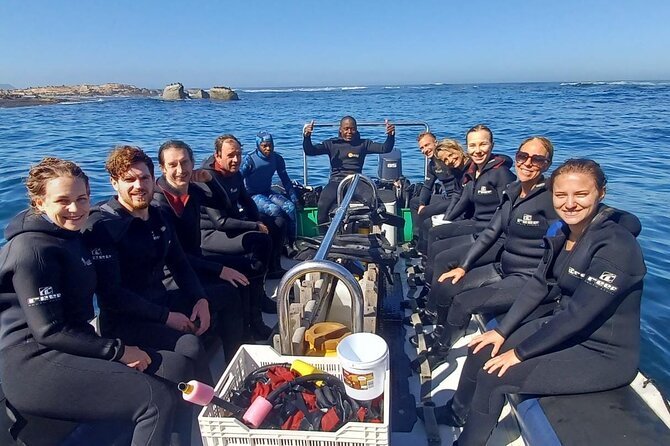 Seal Snorkeling Experience in Cape Town - Highlights of the Adventure