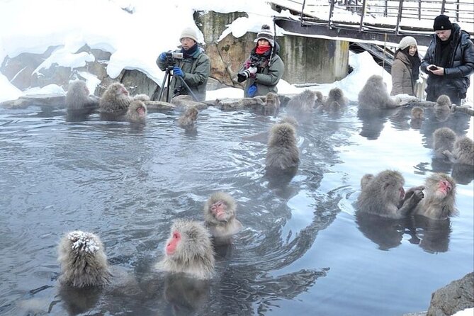 Snow Monkey Park & Zenkoji Temple Nagano Pvt. Full Day Tour. - Zenkoji Temple