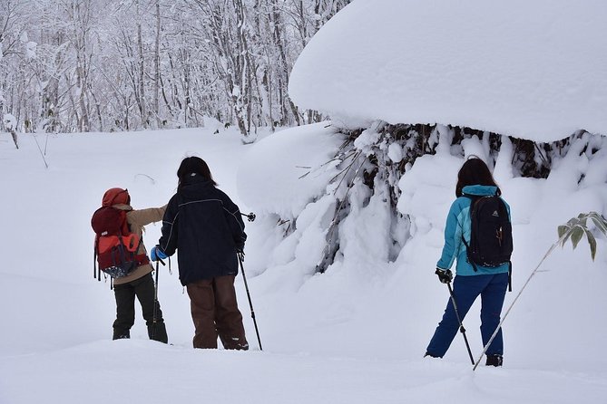 Snowshoe Hike Tour From Sapporo - Weather Considerations