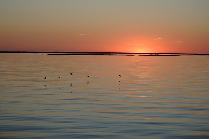Sunset Tour | Ria Formosa - From Faro - Tour Duration and Group Size