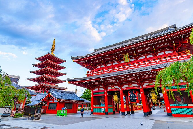 Tokyo Private Tour - Inclusions and Amenities