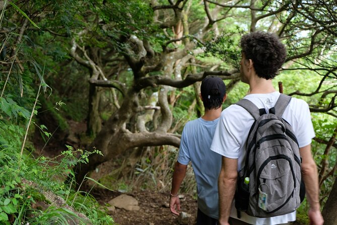 Traverse Outer Rim of Hakone Caldera and Enjoy Onsen Hiking Tour - Onsen Hiking Experience
