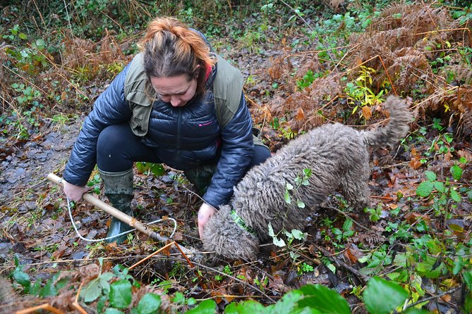Truffle Hunting Experience With Lunch in San Miniato - Group Size and Refund Policy
