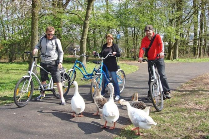 Cheese, Canals & Windmill Countryside E-Bike Tour Amsterdam - Exceptional Reviews