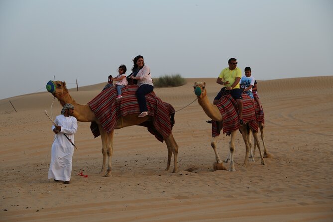 Dubai Evening Desert Safari With Dune Buggy Ride - Tour Highlights