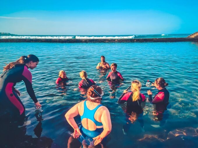 Gran Canaria: North Coast Tour - Salt, Rock Pools, Snorkel ツ - Inclusions