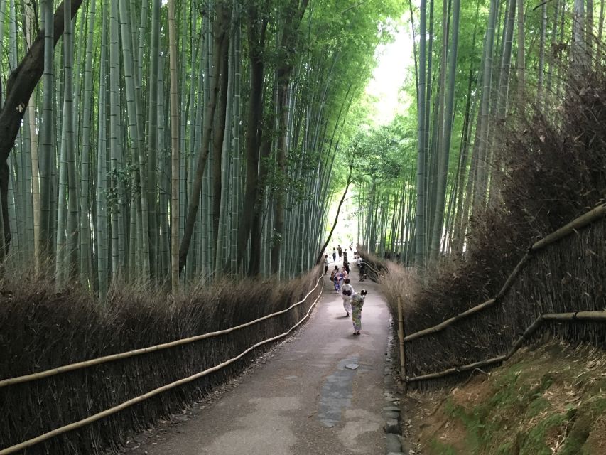 Kyoto Arashiyama Best Spots 4h Private Tour - Knowledgeable Local Guides Expertise