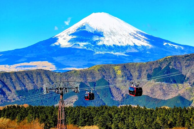 Mt Fuji and Hakone 1-Day Bus Tour Return by Bus - Logistics and Important Notes