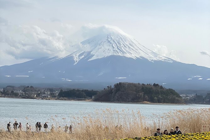 Mt Fuji Sightseeing Private Tour With English-Speaking Driver - Cancellation Policy