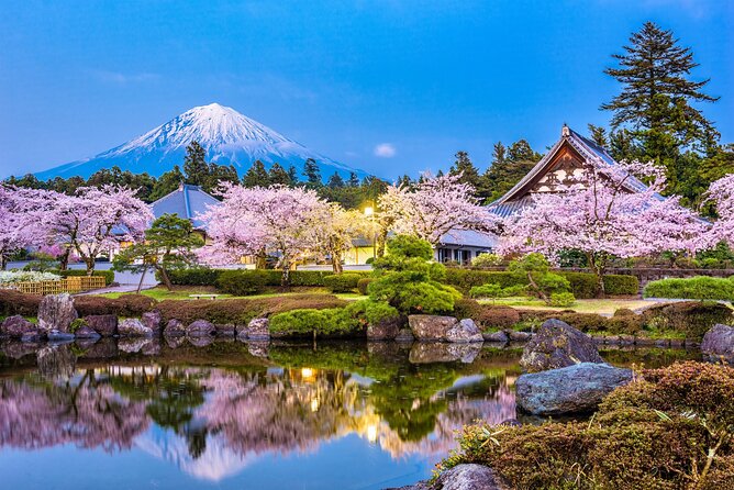 Private Fuji Exploration With Photography ENGLISH SPEAKING - Scenic Nature Spots