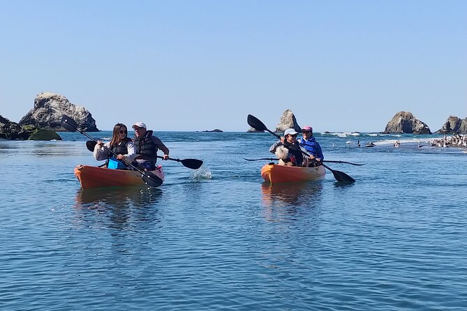 Russian River Kayak Tour at the Beautiful Sonoma Coast - Cancellation and Weather Policy