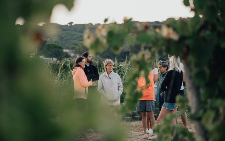 Small Group Wine Tour From Saint-Tropez - Additional Information