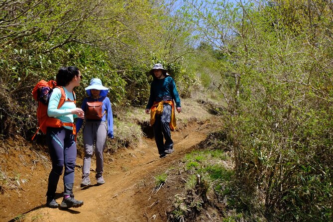 Traverse Outer Rim of Hakone Caldera and Enjoy Onsen Hiking Tour - Traveler Considerations