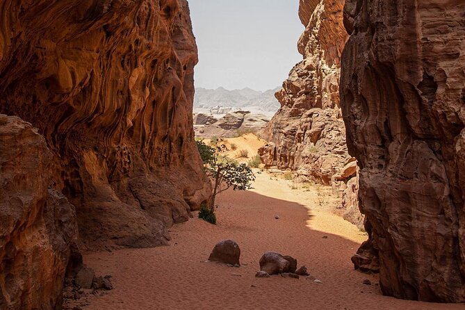 Wadi Rum Desert Tour With Lunch & Sunset - Optional Camel Ride Upgrade