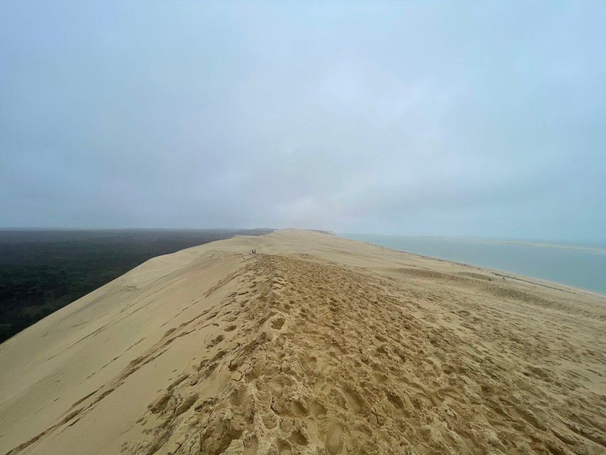 Dune Du Pilat and Oysters Tasting! What Else? - Frequently Asked Questions
