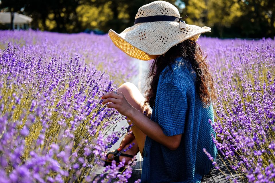 From Avignon: Lavender Fields & Luberon Village Guided Tour - Frequently Asked Questions