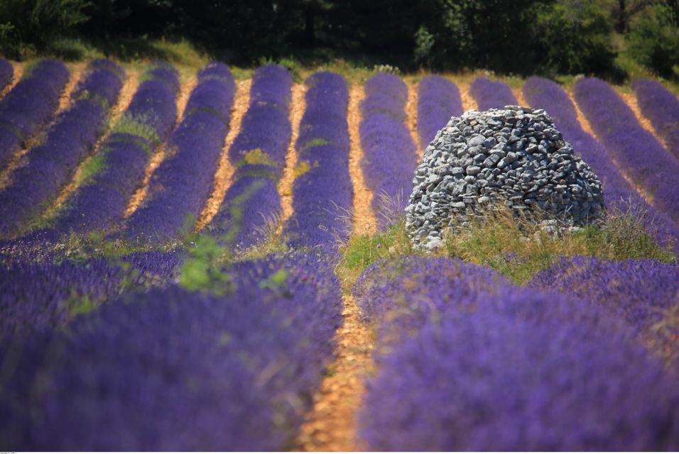 Ocean of Lavender in Valensole - Frequently Asked Questions