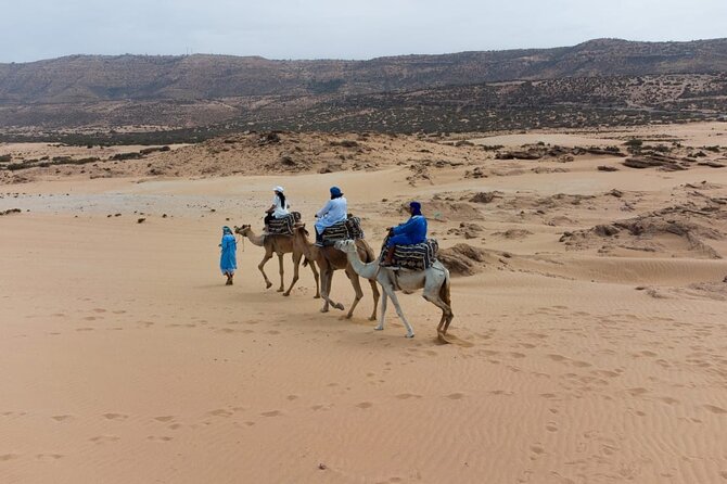 Agadir Sand Dunes and Camel Ride in Tifnit With Lunch
