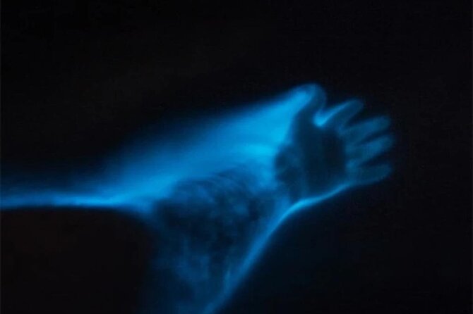 Bioluminescent Lagoon Boat Ride and Swim From Puerto Escondido - Key Points