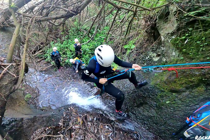 canyoning-in-rainforest-the-hidden-waterfalls-of-gran-canaria-adventure-in-the-rainforest