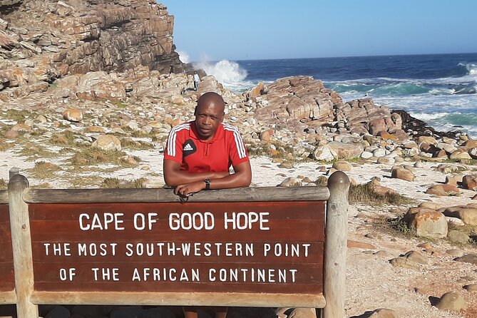 Cape of Good Hope, Penguins and Sightseeing Tour Small Group - Highlights of the Tour