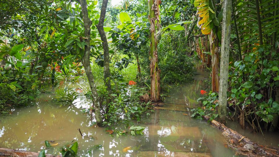 Cu Chi Tunnels & Mekong Delta Group Tour Full Day - Key Points