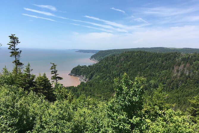 Bay of Fundy Tour in Luxury Car