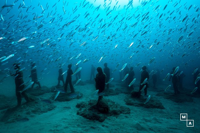 discover-the-underwater-world-of-lanzarote-key-points